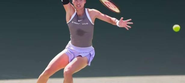 关于莎拉波娃爆冷击败瑞士队，关键助攻引爆全场！的信息