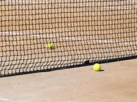 费德勒在巴黎圣日耳曼比赛中大胜，绝杀引发热议！